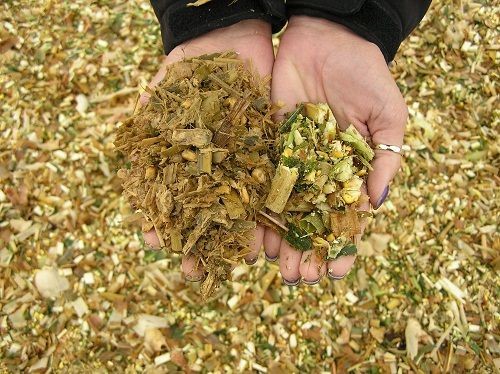 Silage
